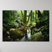 Manoa Valley Stream Poster (Voorkant)