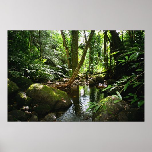 Manoa Valley Stream Poster (Voorkant)