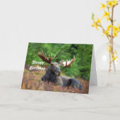 Mans Birthday Kaart (Gele Bloem)