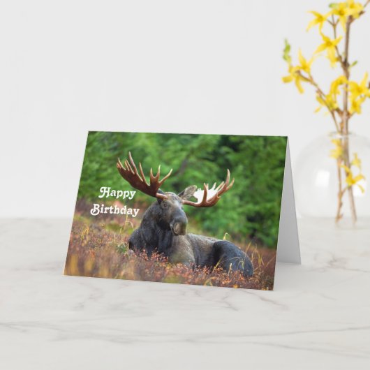 Mans Birthday Kaart (Gele Bloem)