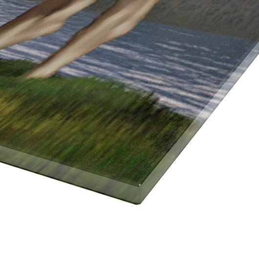 Mans in de weide snijplank (Hoek)