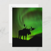 Mans met Green Aurora Borealis, Alaska Briefkaart (Voorkant / Achterkant)