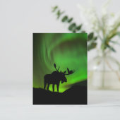 Mans met Green Aurora Borealis, Alaska Briefkaart (Staand voorkant)