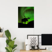 Mans met Green Aurora Borealis, Alaska Poster (Thuiskantoor)
