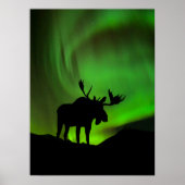 Mans met Green Aurora Borealis, Alaska Poster (Voorkant)