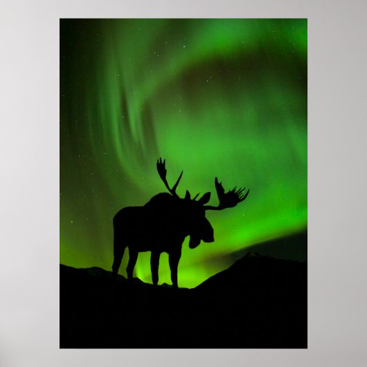 Mans met Green Aurora Borealis, Alaska Poster (Voorkant)