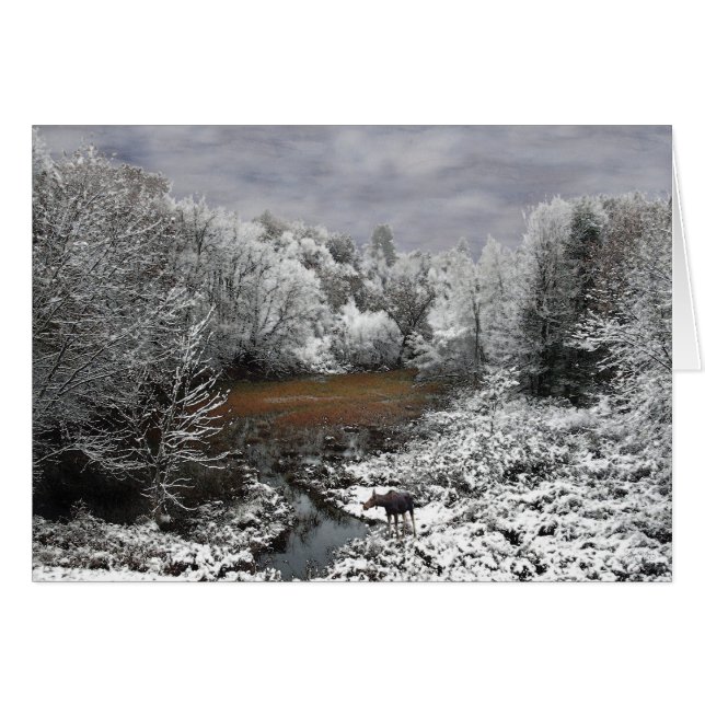 Mans op Snowy Oxbow (Voorkant Horizontaal)