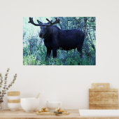 Mans op volledige grootte poster (Keuken)