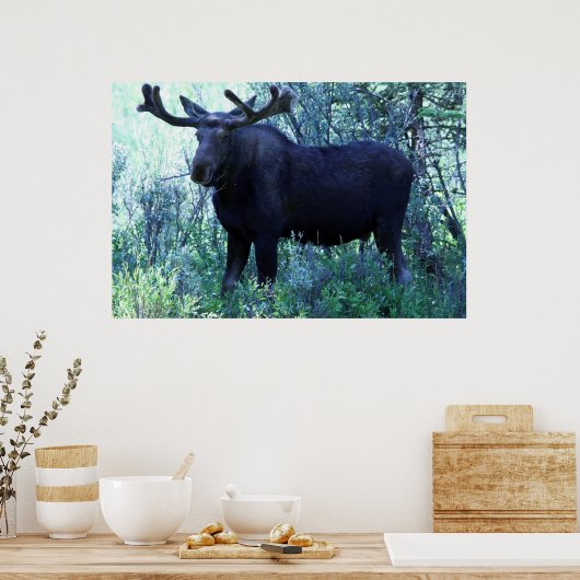 Mans op volledige grootte poster (Keuken)