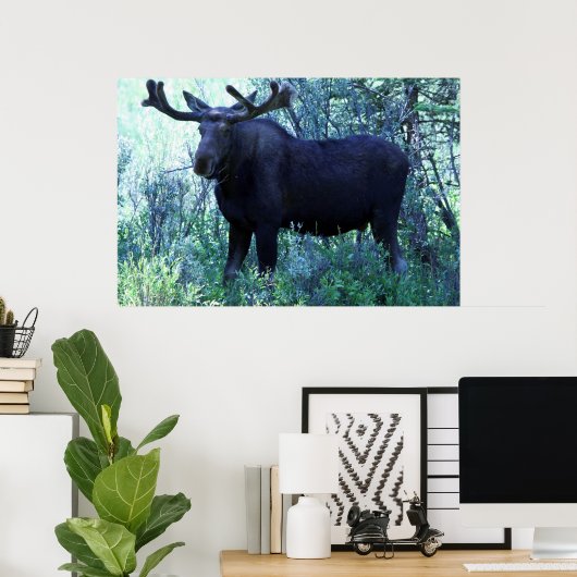 Mans op volledige grootte poster (Thuiskantoor)