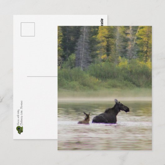 Mans voor een zwemtocht briefkaart (Voorkant / Achterkant)