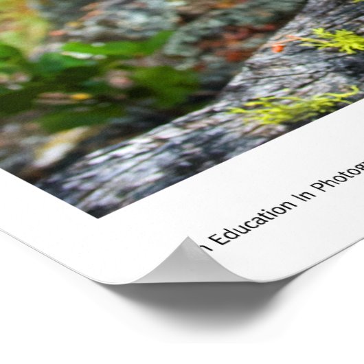 Mansanita Prints (Hoek)