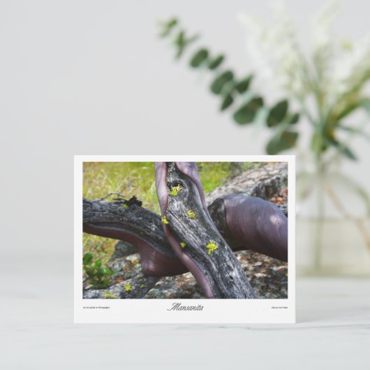 Mansanita Prints Briefkaart (Staand voorkant)