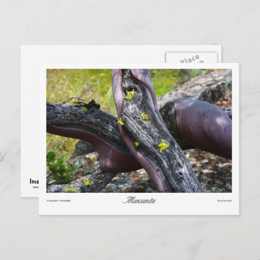 Mansanita Prints Briefkaart (Voorkant / Achterkant)