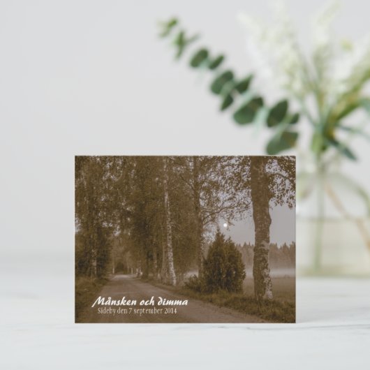 Månsken och dimma CC0545 Sideby Briefkaart (Staand voorkant)