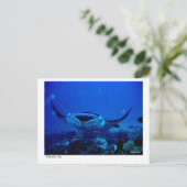 manta-kaart - 01 briefkaart (Staand voorkant)