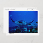 manta-kaart - 01 briefkaart (Voorkant / Achterkant)