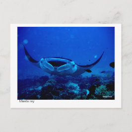 manta-kaart - 01 briefkaart