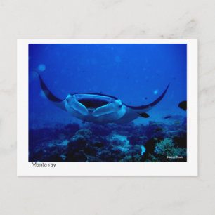 manta-kaart - 01 briefkaart