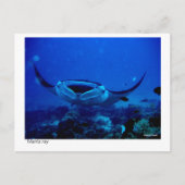 manta-kaart - 01 briefkaart (Voorkant)