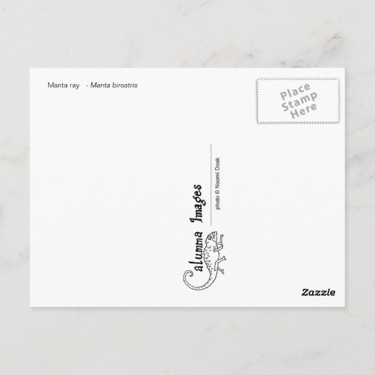 manta-kaart - 03 briefkaart (Achterkant)