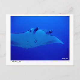manta-kaart - 03 briefkaart