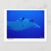 manta-kaart - 03 briefkaart (Voorkant)