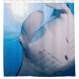 Manta Mania : Cute Manta ray in de zon Douchegordijn