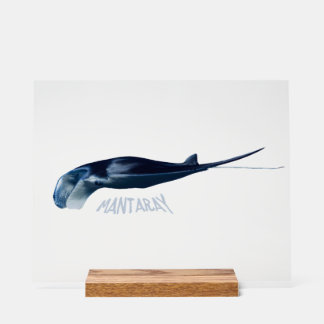 Manta Ray Acryl Bord