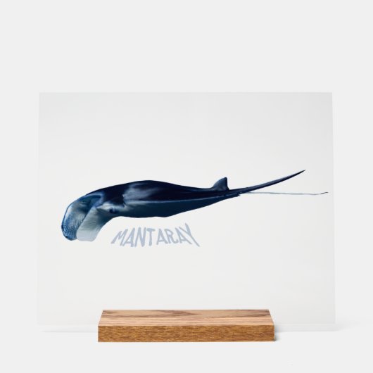 Manta Ray Acryl Bord (Voorkant)
