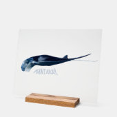 Manta Ray Acryl Bord (Hoek)