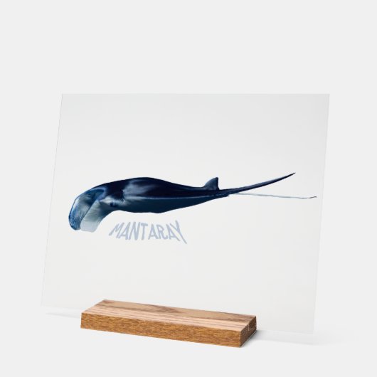 Manta Ray Acryl Bord (Hoek)
