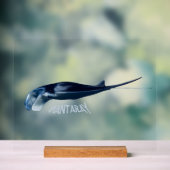Manta Ray Acryl Bord (Neutraal)
