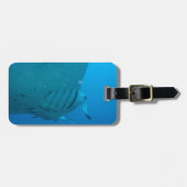 Manta Ray Bagagelabel (Voorkant horizontaal)