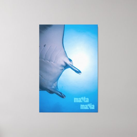 Manta ray canvas afdruk (Voorkant)