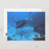 Manta Ray Encounter Diving in Bora Bora Briefkaart (Voorkant / Achterkant)