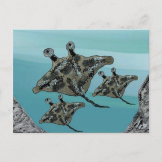 Manta Ray Family Briefkaart (Voorkant)