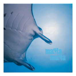 Manta ray perfect poster