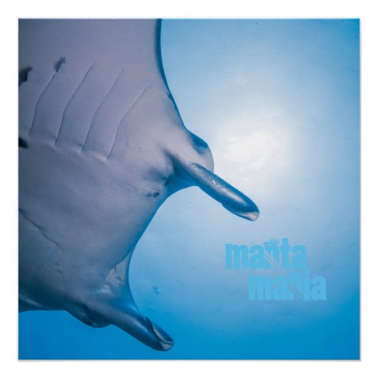 Manta ray perfect poster (Voorkant)