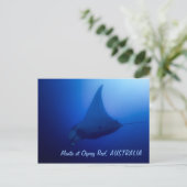 Manta Ray Postcard Briefkaart (Staand voorkant)