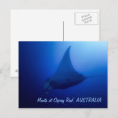 Manta Ray Postcard Briefkaart (Voorkant / Achterkant)