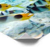 Manta Ray Poster (Hoek)