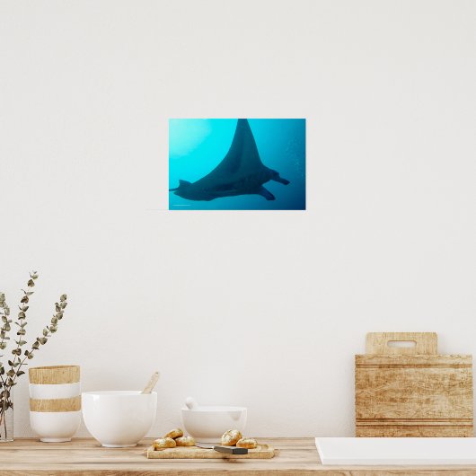 Manta Ray Poster (Keuken)