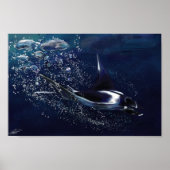 Manta Ray Poster (Voorkant)