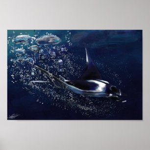 Manta Ray Poster