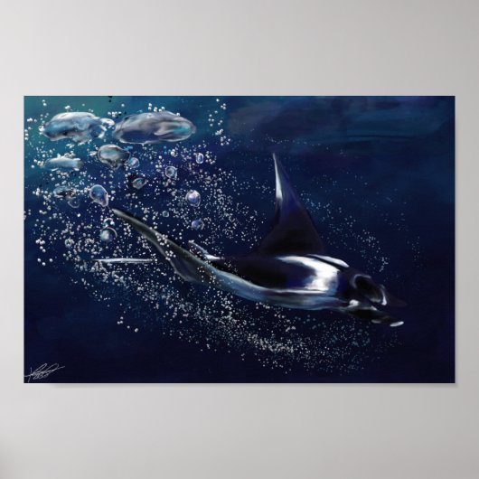 Manta Ray Poster (Voorkant)