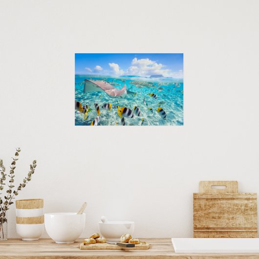Manta Ray Poster (Keuken)