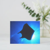 Manta Ray Silhouette Briefkaart (Staand voorkant)