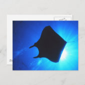Manta Ray Silhouette Briefkaart (Voorkant / Achterkant)