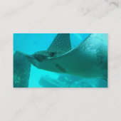 Manta Ray Visitekaartje (Achterkant)